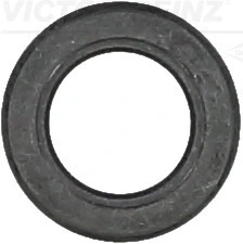 Seal Ring, valve stem